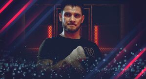 Mejores Peleas de MMA en Noviembre | Análisis de Jevgenijs 'El Huracán' Aleksejevs