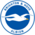 Brighton & Hove Albion Logo